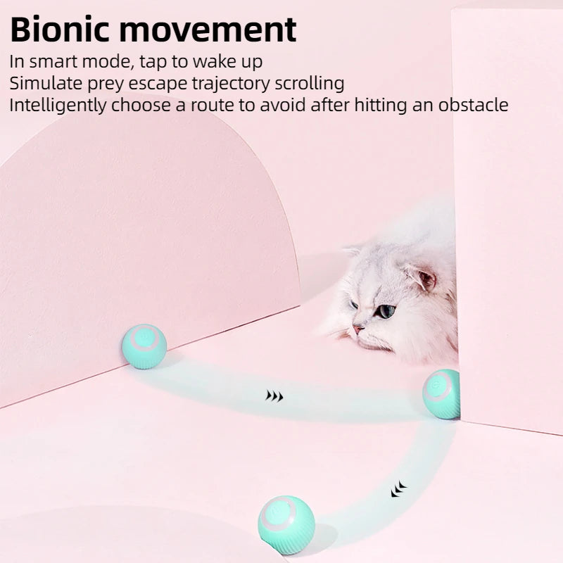Smart Rolling Ball for Cats – Endless Fun & Exercise