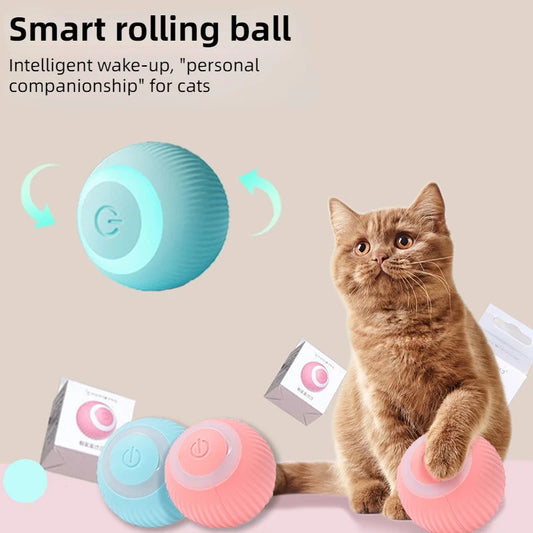 Smart Rolling Ball for Cats – Endless Fun & Exercise