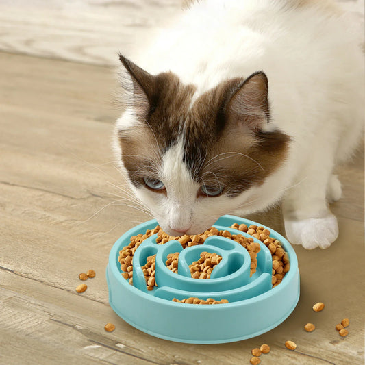 Slow Feeder Bowl for Dogs & Cats – Healthy Eating